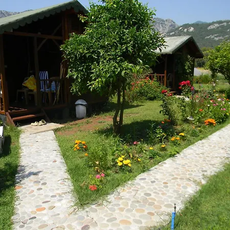 Armina Çıralı
